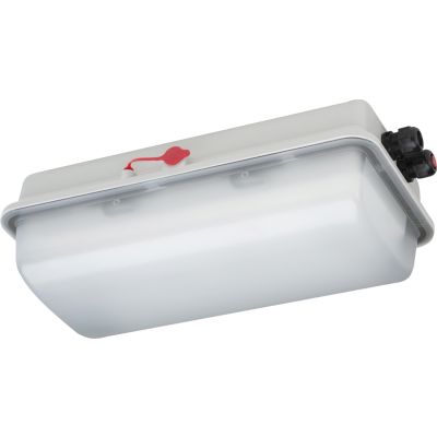 LED diffuser luminaire in ex-proof version incl. switch (non-ex, located on outside of container) 
